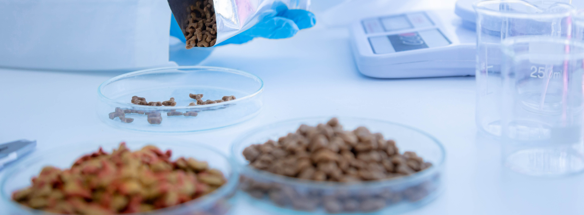 platform kinetics food and feed technology